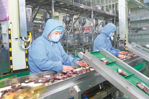 沖刺年度目標，助力企業產銷兩旺 社會經濟咨詢服務的核心價值