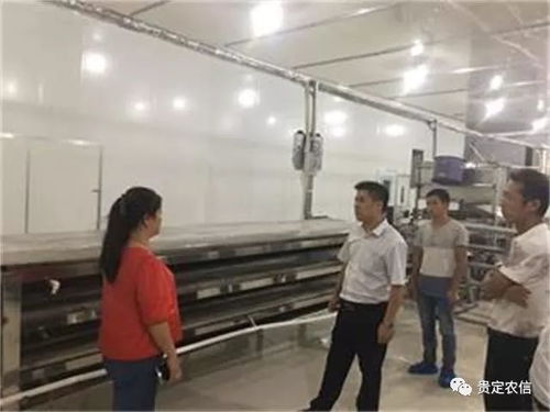 北京貴州米粉廠里的“金融夜校” 一碗粉背后的社會經濟咨詢服務